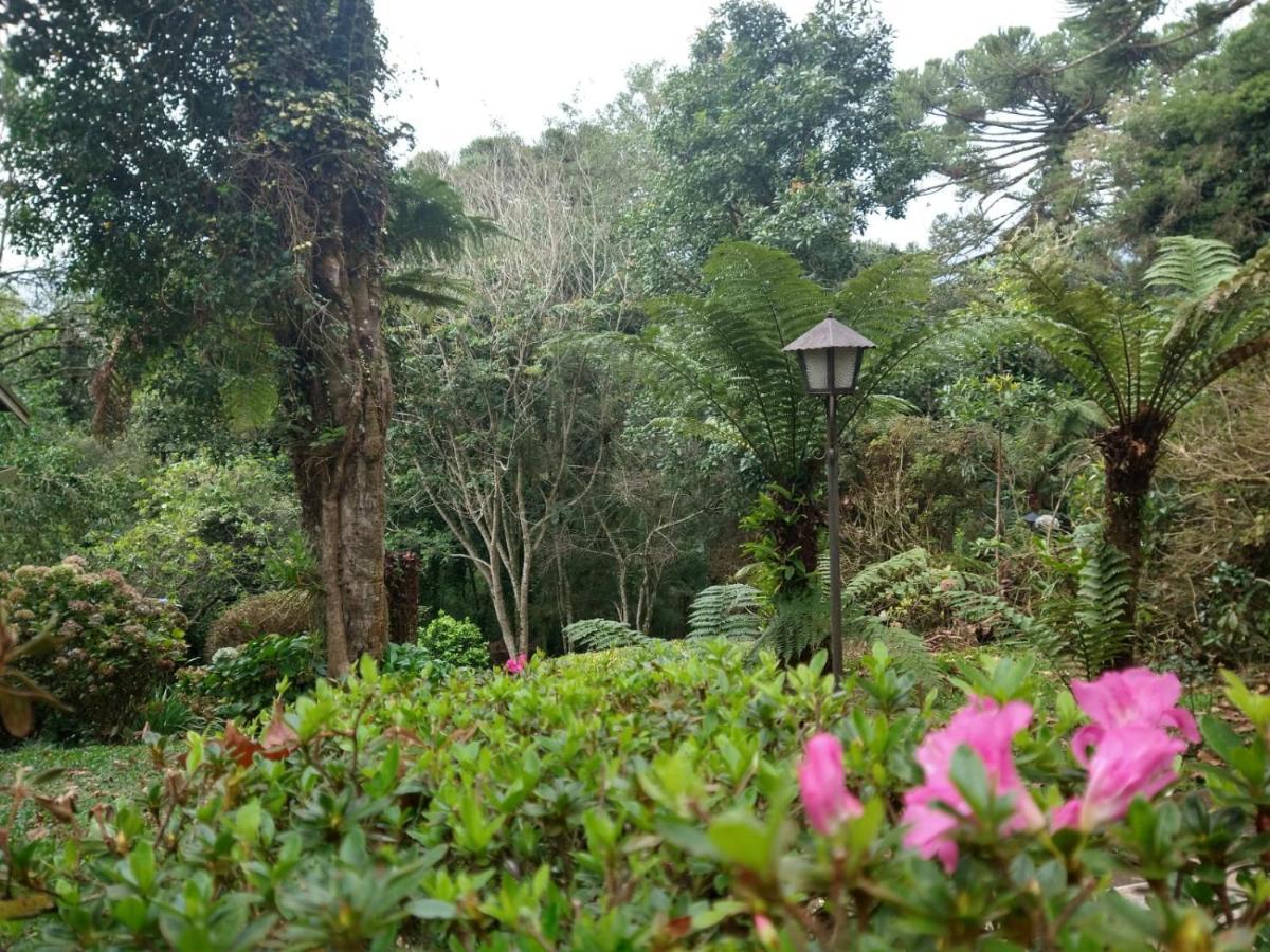 Pousada Estrela Da Serra Monte Verde  Buitenkant foto