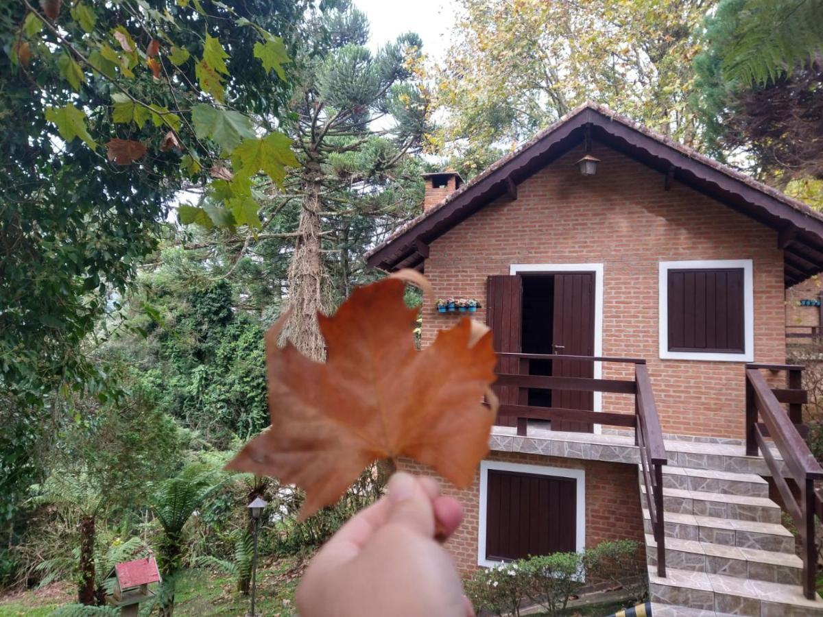 Pousada Estrela Da Serra Monte Verde  Buitenkant foto