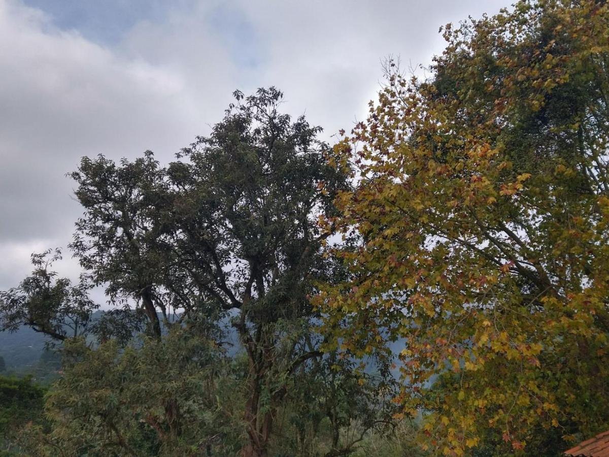 Pousada Estrela Da Serra Monte Verde  Buitenkant foto