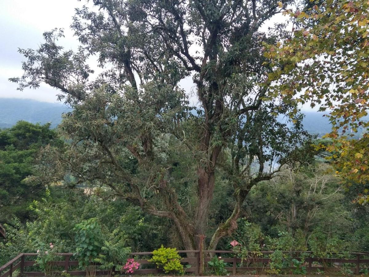 Pousada Estrela Da Serra Monte Verde  Buitenkant foto